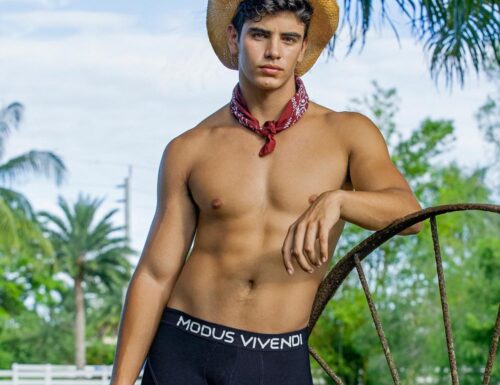 I Sexy Cowboy di Modus Vivendi!